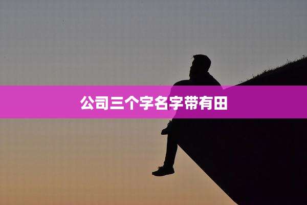 公司三个字名字带有田