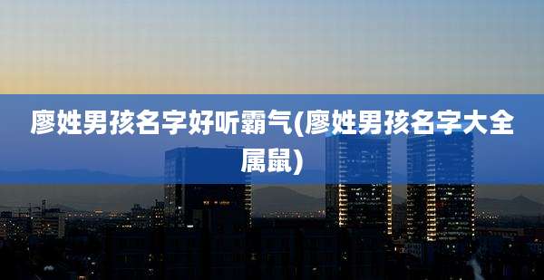 廖姓男孩名字好听霸气(廖姓男孩名字大全属鼠)