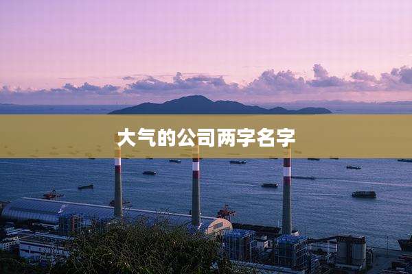 大气的公司两字名字