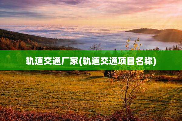 轨道交通厂家(轨道交通项目名称)