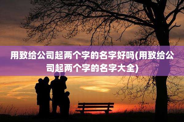 用致给公司起两个字的名字好吗(用致给公司起两个字的名字大全)