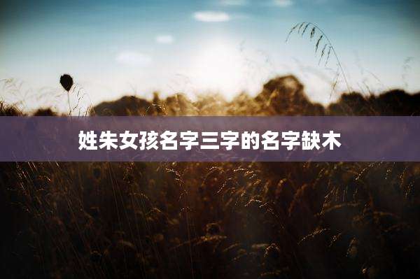 姓朱女孩名字三字的名字缺木
