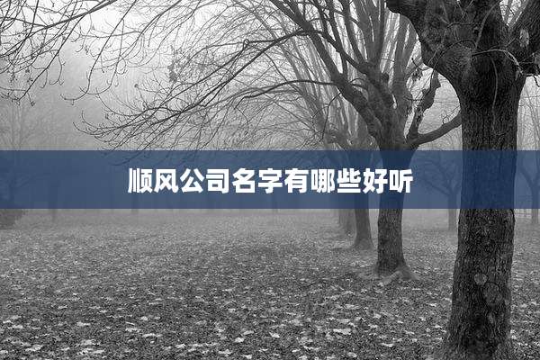 顺风公司名字有哪些好听