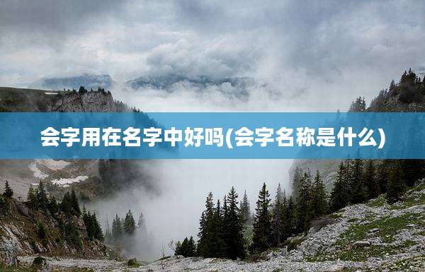 会字用在名字中好吗(会字名称是什么)