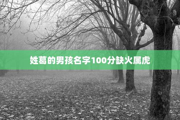 姓葛的男孩名字100分缺火属虎
