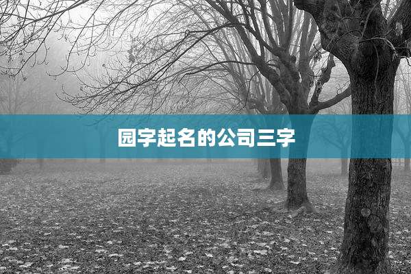 园字起名的公司三字