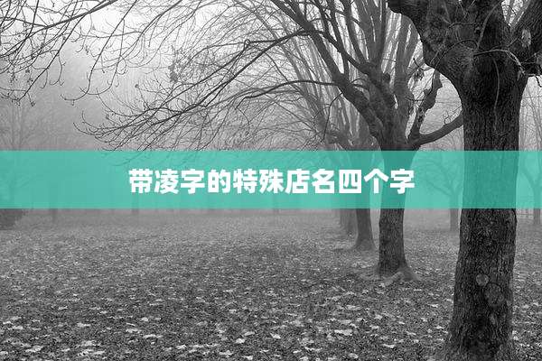 带凌字的特殊店名四个字