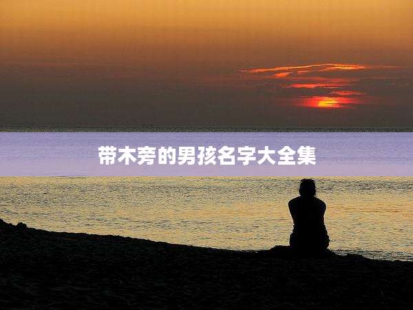 带木旁的男孩名字大全集
