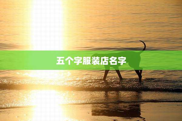五个字服装店名字