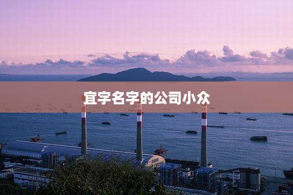 宜字名字的公司小众