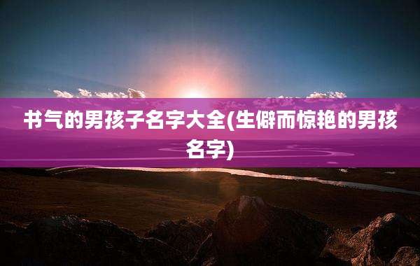 书气的男孩子名字大全(生僻而惊艳的男孩名字)