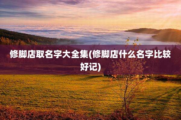 修脚店取名字大全集(修脚店什么名字比较好记)