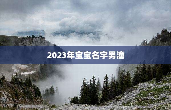 2023年宝宝名字男潼