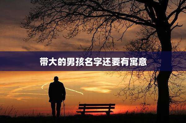 带大的男孩名字还要有寓意