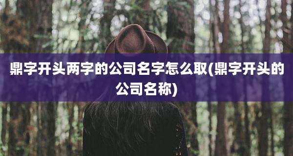 鼎字开头两字的公司名字怎么取(鼎字开头的公司名称)