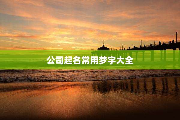 公司起名常用梦字大全