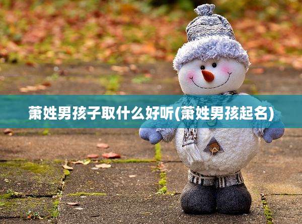 萧姓男孩子取什么好听(萧姓男孩起名)