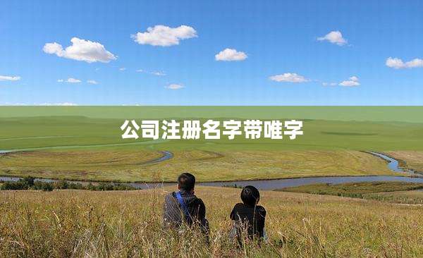 公司注册名字带唯字