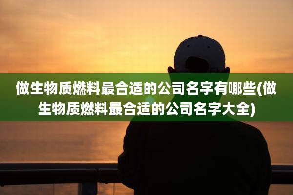 做生物质燃料最合适的公司名字有哪些(做生物质燃料最合适的公司名字大全)