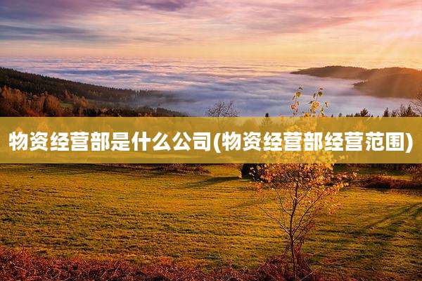 物资经营部是什么公司(物资经营部经营范围)