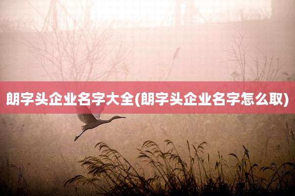 朗字头企业名字大全(朗字头企业名字怎么取)