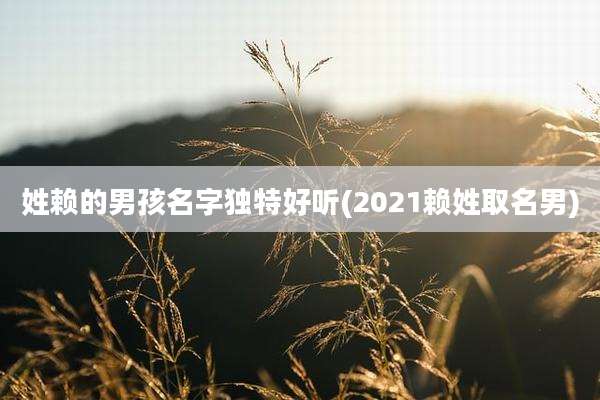 姓赖的男孩名字独特好听(2021赖姓取名男)