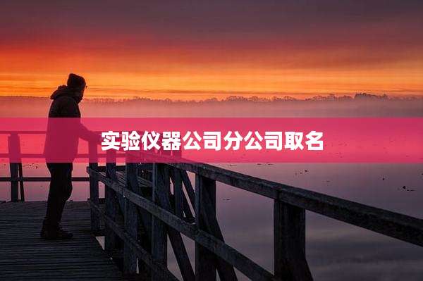 实验仪器公司分公司取名