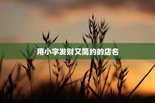 用小字发财又简约的店名