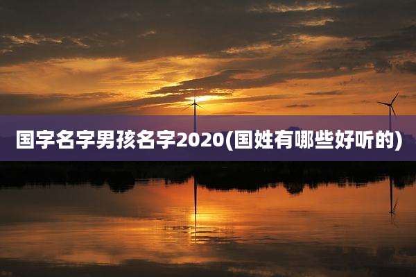 国字名字男孩名字2020(国姓有哪些好听的)