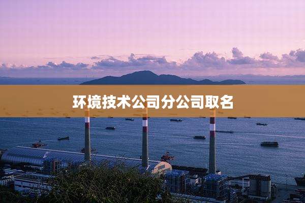 环境技术公司分公司取名