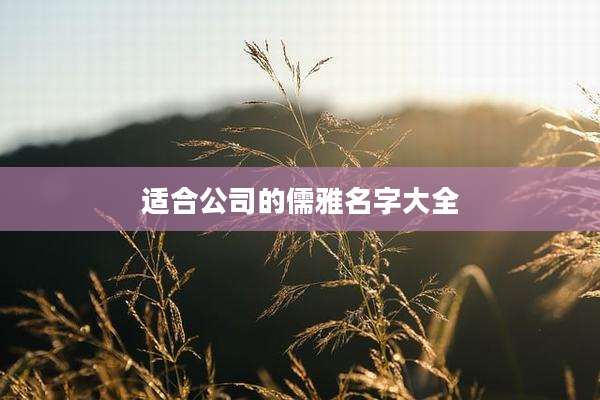适合公司的儒雅名字大全