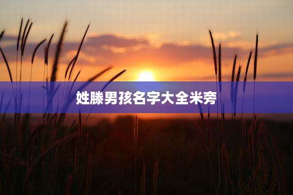 姓滕男孩名字大全米旁