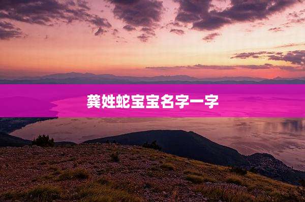 龚姓蛇宝宝名字一字
