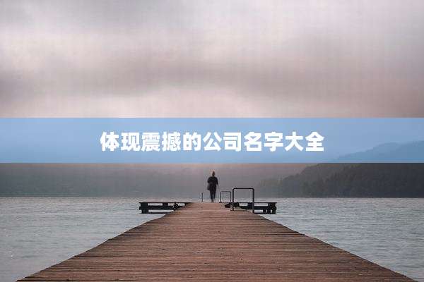 体现震撼的公司名字大全