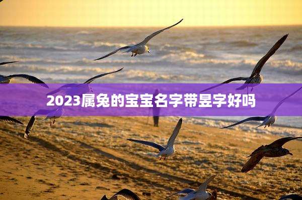 2023属兔的宝宝名字带昱字好吗