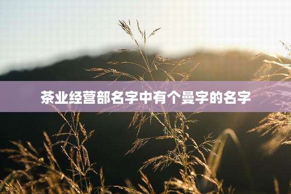 茶业经营部名字中有个曼字的名字