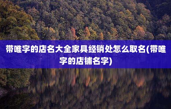带唯字的店名大全家具经销处怎么取名(带唯字的店铺名字)