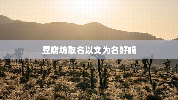 豆腐坊取名以文为名好吗