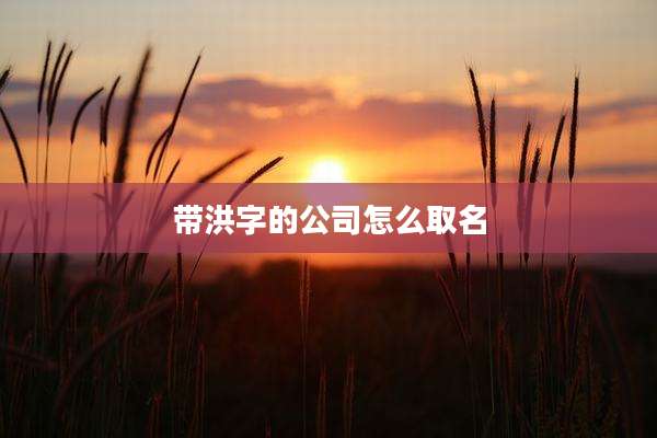 带洪字的公司怎么取名