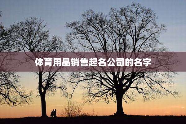体育用品销售起名公司的名字