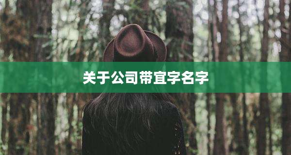 关于公司带宜字名字