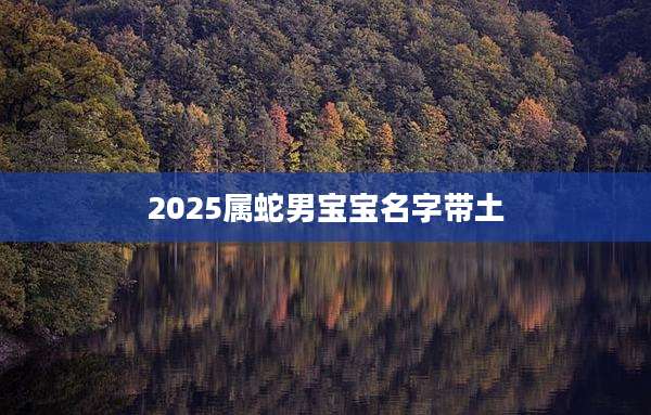 2025属蛇男宝宝名字带土