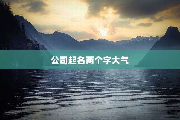 公司起名两个字大气