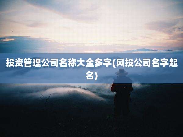 投资管理公司名称大全多字(风***司名字起名)