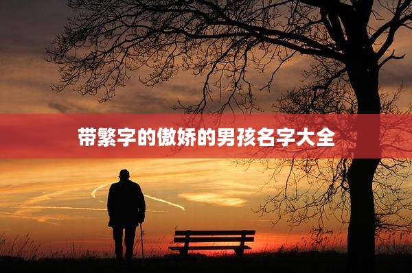 带繁字的傲娇的男孩名字大全