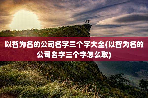以智为名的公司名字三个字大全(以智为名的公司名字三个字怎么取)