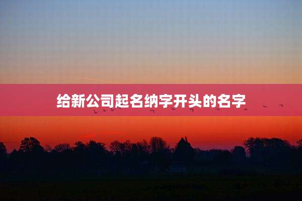 给新公司起名纳字开头的名字