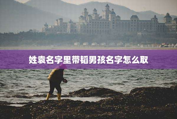 姓袁名字里带韬男孩名字怎么取
