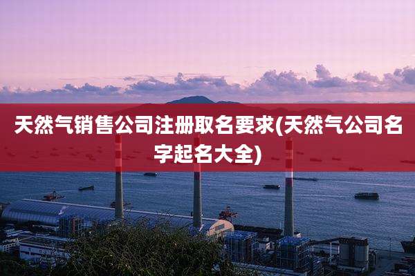 天然气销售公司注册取名要求(天然气公司名字起名大全)