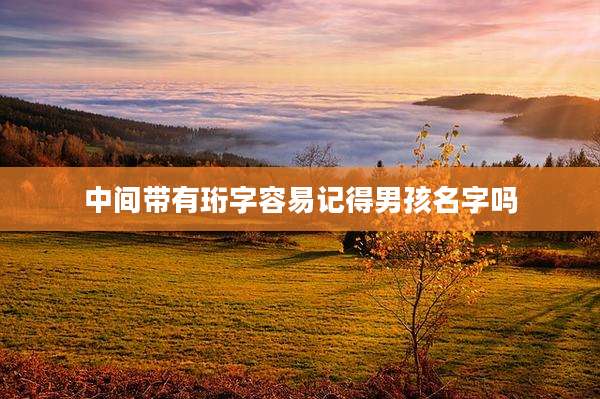 中间带有珩字容易记得男孩名字吗